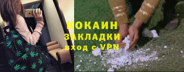 PSILOCYBIN Алексеевка
